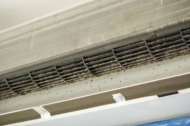 Best Best Air Duct Cleaning Company  in Mountain City, GA